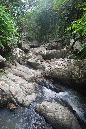 BEN_081206_007516