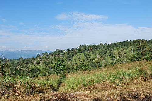 BEN_081215_007834