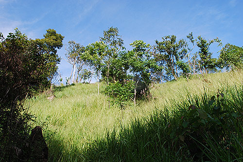 BEN_081215_007963