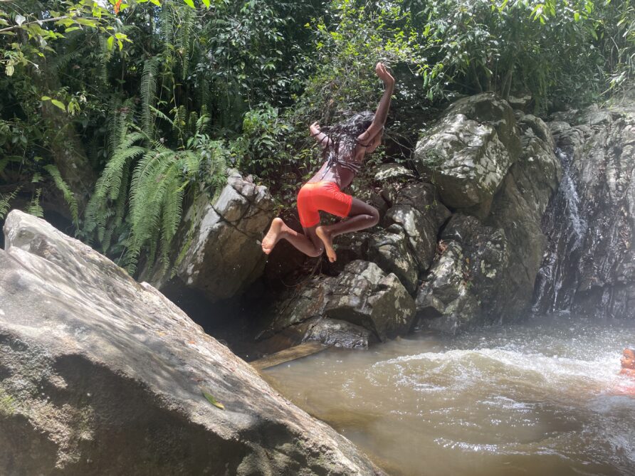 Monkeys, Mud, and the Magic 4-Inch Pipe: A Survival Guide to Our Farm Pool