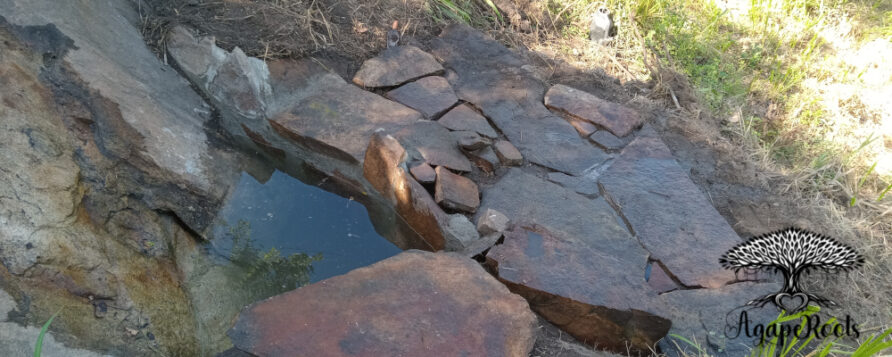 Wasser aus dem Felsen: Wie die Dürre uns einen verborgenen Schatz schenkte