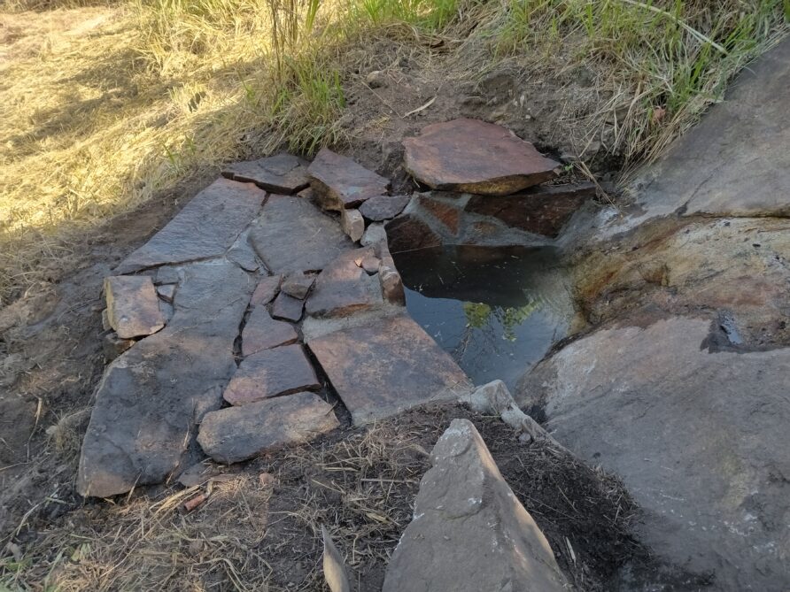 Wasser aus dem Felsen: Wie die Dürre uns einen verborgenen Schatz schenkte
